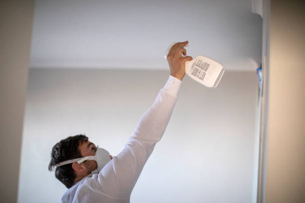 Best Residential Mold Removal  in Oak Hill, TN