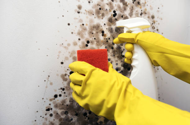 Water Damage Restoration in Oak Hill, TN